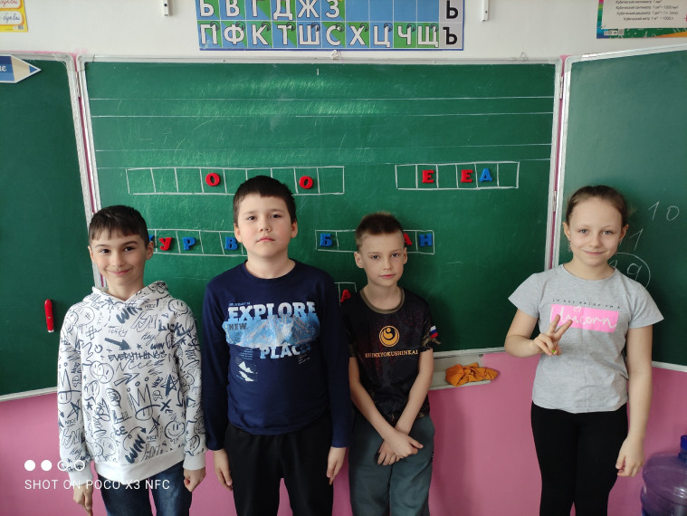 В мире птиц.